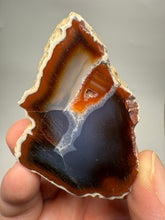 Load image into Gallery viewer, High-Grade Indonesian Sumatra Agate Pair – Vibrant Banded Chalcedony with Rich Color Zoning | Ethical Lapidary &amp; Collector Display Specimens

