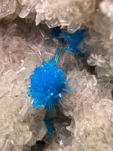 Load image into Gallery viewer, Rare Electric Blue Pentagonite &amp; Cavansite on Druzy Matrix | Collector Mineral Specimen | Wagholi Quarry, India
