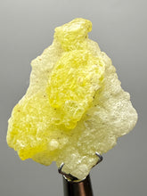 Load image into Gallery viewer, Vibrant Yellow Brucite Thumbnail Mineral Specimen | Collector Crystal from Killa Saifullah District in Balochistan Province, Pakistan
