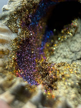 Load image into Gallery viewer, Bivalve (Pelecypoda) Fossil Sea Shell with Chalcopyrite | Mineralized Fossil Specimen | Indonesia
