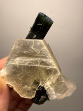 Load image into Gallery viewer, Blue Cap &amp; Green Cap Dark Green Stak Nala Tourmaline on Cleavelandite Matrix – Haramosh Mountains, Pakistan
