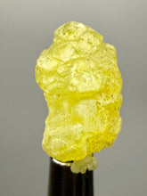 Load image into Gallery viewer, Vibrant Yellow Brucite Thumbnail Mineral Specimen | Collector Crystal from Killa Saifullah District in Balochistan Province, Pakistan

