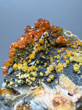 Load image into Gallery viewer, Natural Vanadinite on Matrix | Collector Mineral Specimen | Morocco

