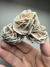 Load image into Gallery viewer, Desert Rose Selenite (Gypsum) — Mineral Display Specimen | Mexico

