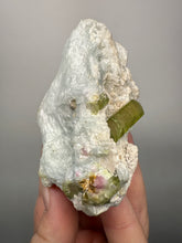 Load image into Gallery viewer, Watermelon Tourmaline &amp; Aquamarine on Matrix – Collector Mineral Specimen from Pakistan
