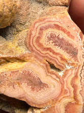 Load image into Gallery viewer, Rhodochrosite Free Form Collector Mineral Display Specimen — Argentina
