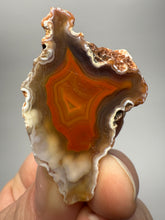 Load image into Gallery viewer, Polished Malawi Agate Half – High-Grade African Banded Agate Display Specimen
