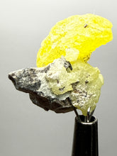 Load image into Gallery viewer, Vibrant Yellow Brucite Thumbnail Mineral Specimen | Collector Crystal from Killa Saifullah District in Balochistan Province, Pakistan
