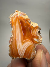 Load image into Gallery viewer, High-Grade Indonesian Sumatra Agate Pair – Vibrant Banded Chalcedony with Rich Color Zoning | Ethical Lapidary &amp; Collector Display Specimens
