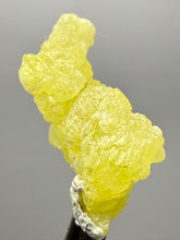 Load image into Gallery viewer, Vibrant Yellow Brucite Thumbnail Mineral Specimen | Collector Crystal from Killa Saifullah District in Balochistan Province, Pakistan

