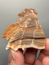 Load image into Gallery viewer, Chalcedony Quartz Rose Agate Collector Mineral Specimen – Morocco

