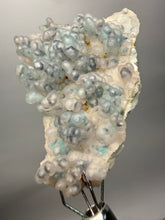 Load image into Gallery viewer, Blue-Green Chrysocolla in Botryoidal Chalcedony Cabinet Specimen | Indonesia
