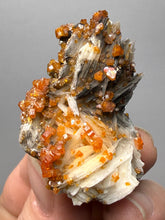 Load image into Gallery viewer, Natural Vanadinite on Matrix | Collector Mineral Specimen | Morocco
