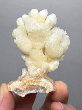 Load image into Gallery viewer, 2.8” High-Grade Flower Calcite Specimen | Wenshan Mine, Yunnan, China | Collector Mineral Display
