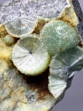 Load image into Gallery viewer, High-Grade Green Wavellite Collectors Specimen - Radiating Botryoidal Crystal Formation - Arkansas, USA
