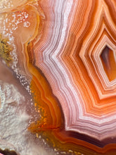 Load image into Gallery viewer, High-Grade Parallax Banded Laguna Agate – Bright Orange, Red, &amp; White Banding from Mexico

