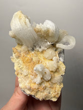Load image into Gallery viewer, Moroccan Ram’s Horn Selenite (Gypsum) Crystal Display Specimen
