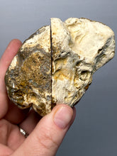 Load image into Gallery viewer, Premium Sumatra Agate Pair (Banded Chalcedony) Display Specimen | Indonesia
