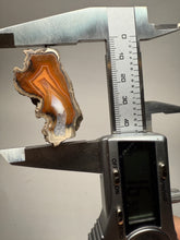 Load image into Gallery viewer, Indonesian Sumatra Agate Pair – Vibrant Banded Chalcedony with Rich Color Zoning | Ethical Lapidary &amp; Collector Display Specimens

