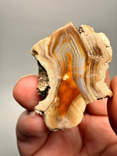 Load image into Gallery viewer, High-Grade Indonesian Sumatra Agate Pair – Vibrant Banded Chalcedony with Rich Color Zoning | Ethical Lapidary &amp; Collector Display Specimens
