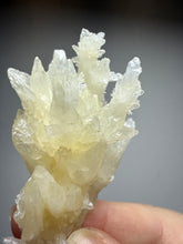 Load image into Gallery viewer, High-Grade Coral Aragonite Specimen | Wenshan Mine, Yunnan, China | Collector Mineral Display
