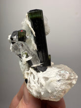Load image into Gallery viewer, Dark Green Cap Stak Nala Tourmaline and Quartz with Flower Cleavelandite Matrix – Haramosh Mountains, Pakistan
