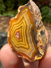 Load image into Gallery viewer, Small High-Grade Laguna Agate with Parallax Effect &amp; Quartz Core – Rare Mexican Collectible Gemstone
