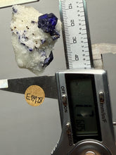 Load image into Gallery viewer, Afghan Lazurite Specimen | Deep Blue Lapis-Grade Crystal on Matrix | Collector Display Mineral
