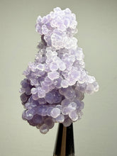 Load image into Gallery viewer, Indonesian Grape Agate (Botryoidal Purple Chalcedony) Display Specimen | Mamuju, West Sulawesi, Indonesia
