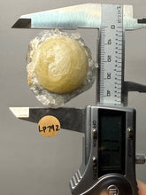 Load image into Gallery viewer, Rare Botryoidal Yellow Fluorite on Quartz Matrix  Collector Mineral Specimen – Maharashtra, India
