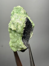 Load image into Gallery viewer, High-Grade Green Wavellite Collectors Specimen - Radiating Botryoidal Crystal Formation - Arkansas, USA
