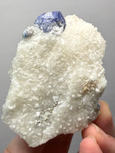 Load image into Gallery viewer, Afghanite &amp; Lazurite on Matrix Collector Display Specimen | Badakhshan Region, Afghanistan
