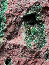 Load image into Gallery viewer, Brochantite Collector Mineral Specimen – Vivid Green Copper Crystals from Morocco
