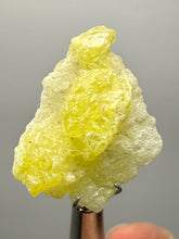 Load image into Gallery viewer, Vibrant Yellow Brucite Thumbnail Mineral Specimen | Collector Crystal from Killa Saifullah District in Balochistan Province, Pakistan
