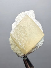 Load image into Gallery viewer, Rare Druzy Golden “Diamond” Calcite on Zeolite Matrix — Maharashtra, India | Collector Cabinet Specimen
