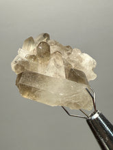 Load image into Gallery viewer, Smoky Quartz Crystal Specimen | Natural Collector Mineral – Brazil
