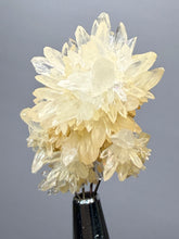 Load image into Gallery viewer, 1.4” High-Grade Flower Calcite Specimen | Wenshan Mine, Yunnan, China | Collector Mineral Display
