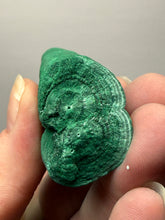 Load image into Gallery viewer, 4.9” High-Grade Malachite Stalactite “Cave” Formation | DR Congo | Mineral Collector Specimen
