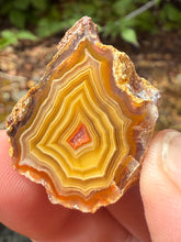 Load image into Gallery viewer, Small High-Grade Laguna Agate with Parallax Effect &amp; Quartz Core – Rare Mexican Collectible Gemstone
