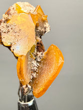Load image into Gallery viewer, High-Grade Orange Wulfenite Collector Display Specimen | La Morita Mine, Chihuahua, Mexico
