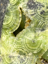 Load image into Gallery viewer, High-Grade Green Wavellite Collectors Specimen - Radiating Botryoidal Crystal Formation - Arkansas, USA
