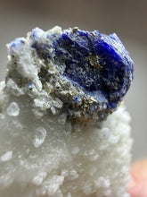Load image into Gallery viewer, Afghan Lazurite Specimen | Deep Blue Lapis-Grade Crystal on Matrix | Collector Display Mineral
