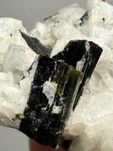 Load image into Gallery viewer, Dark Green Cap Stak Nala Tourmaline on Cleavelandite Matrix – Haramosh Mountains, Pakistan
