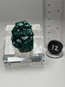 Dioptase Cluster from Congo • High Grade • Mineral Collector’s Specimen Showpiece