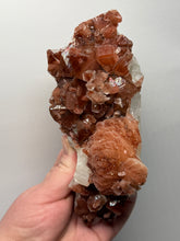 Load image into Gallery viewer, Rare Red Apophyllite + Druzy Red Stilbite Flowers — Deccan Traps, India
