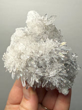 Load image into Gallery viewer, High-Grade Chrysanthemum Quartz (Needle Quartz) Spray Cluster | Jiangxi, China

