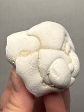 Load image into Gallery viewer, Chichaoua Menalite “Fairy Stone” Concretion | Natural Collector Display Specimen | Morocco
