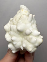Load image into Gallery viewer, Superb White Flos Ferri Aragonite “Flower of Iron” Mineral Specimen | Lom Vitošov, Czech Republic
