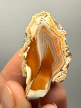 Load image into Gallery viewer, Premium Sumatra Agate (Banded Chalcedony) Display Specimen | Indonesia

