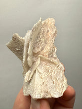 Load image into Gallery viewer, Chalcedony Quartz Rose Agate Collector Mineral Specimen – Morocco
